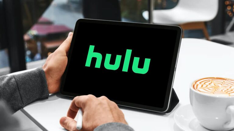 Hulu error code P-DEV313